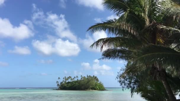 穆里泻湖景观观在库克群岛的拉罗通加 — 图库视频影像