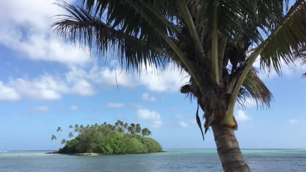 Widok Krajobrazu Zalewu Muri Rarotonga Wyspy Cooka — Wideo stockowe