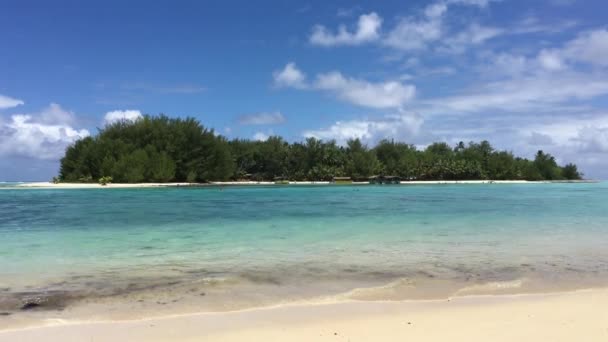 Paisaje Del Islote Koromiri Laguna Muri Rarotonga Islas Cook — Vídeos de Stock