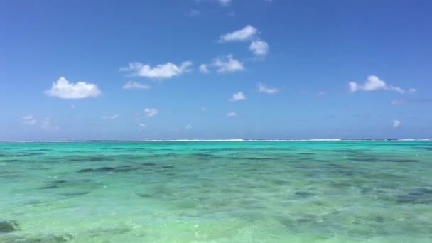 Lagoon Seascape Rarotonga Cooköarna — Stockvideo
