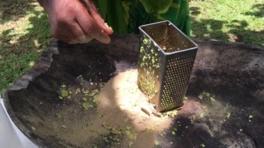 Yemek Adalı adam eko turizm tur içinde Cook Adaları Rarotonga bitkisel içki hazırlar