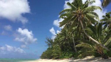 Rarotonga, Cook Adaları Titikaveka plajda Hindistan cevizi hurma ağaçlarının Manzaralı.