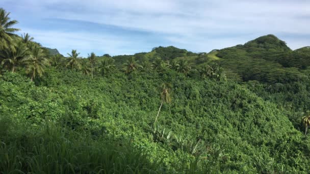 Landschap Uitzicht Bergen Van Rarotonga Cookeilanden — Stockvideo
