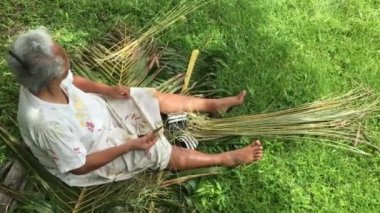 Pasifik görünümünü Adası kadın bir süpürge üzerinden bir Hindistan cevizi ağacı yaprakları içinde Cook Adaları Rarotonga hazırlar 
