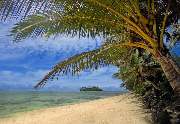 Liggande vy med kokospalmer i Muri lagoon i Rarotong — Stockfoto