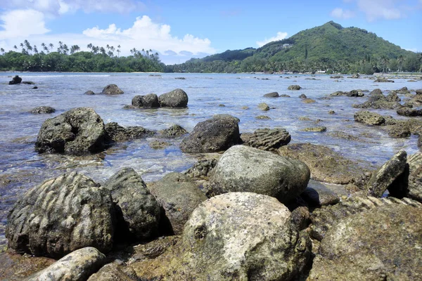 Landskapsbilde fra Ngatangila havn på Rarotonga Cookøyene – stockfoto