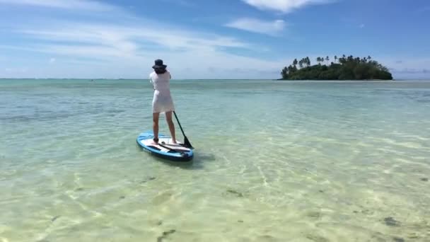 Ung Kvinna Stand Paddle Board Paddla Ombordstigning Muri Lagoon Rarotonga — Stockvideo