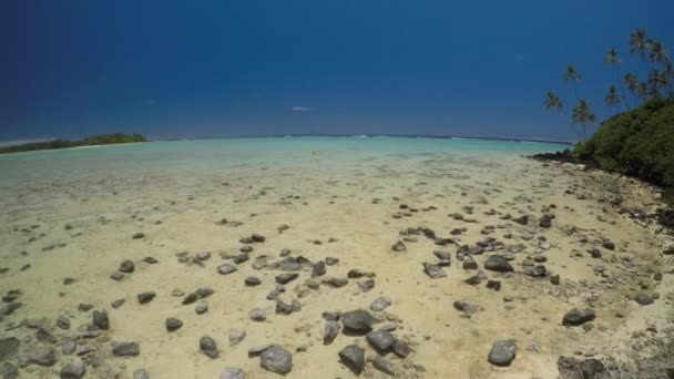 鸟瞰穆里泻湖拉罗通加库克群岛 — 图库视频影像