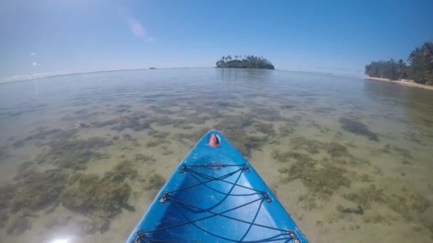 Pov Pont View Persona Navegando Kayak Sobre Laguna Muri Rarotonga — Vídeos de Stock