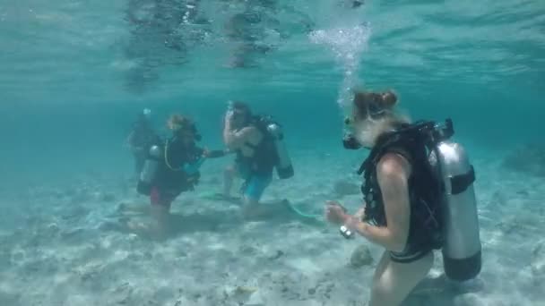 Curso Mergulho Rarotonga Ilhas Cook Pessoas Reais Espaço Cópia — Vídeo de Stock