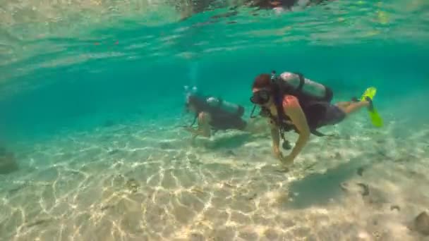 Scuba Diving Rarotonga Cook Adaları — Stok video