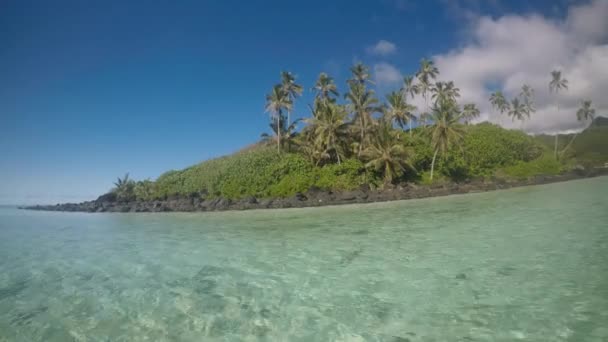 Liggande Taakoka Holme Muri Lagoon Rarotonga Cooköarna — Stockvideo