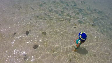 Rarotonga, Cook Adaları gölünde balık besleme genç bir kız görünümünü yukarıda. Gerçek insanlar. Kopya alanı