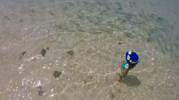 View Young Girl Feeding Fish Lagoon Rarotonga Cook Islands Real — Stock Video