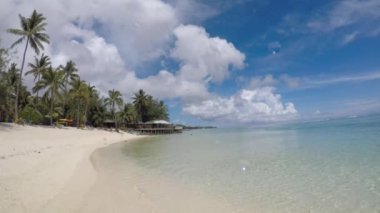 Rarotonga, Cook Adaları Titikaveka plajda Hindistan cevizi hurma ağaçlarının Manzaralı.
