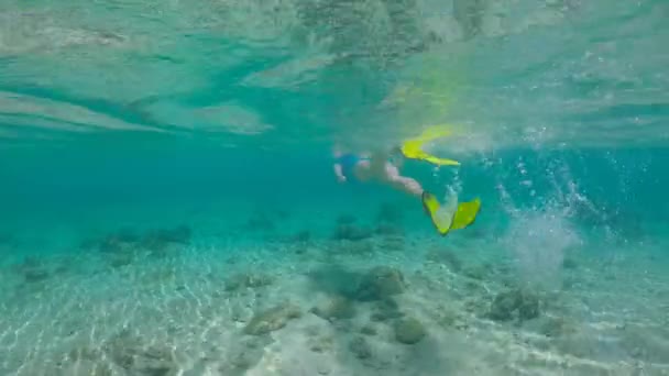 Snorkel Mujer Rarotonga Islas Cook — Vídeo de stock