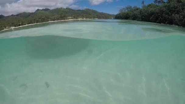 Mujer Nadando Bajo Agua Muri Lagoon Rarotonga Islas Cook — Vídeo de stock