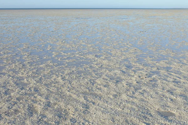 Shell Beach in West-Australië — Stockfoto