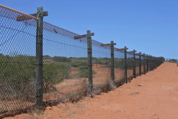 Feral Animal Control Fence