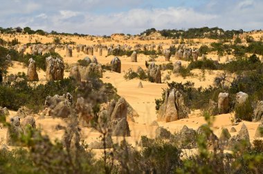 Batı Avustralya 'da Perth yakınlarındaki tepeler çöl. 
