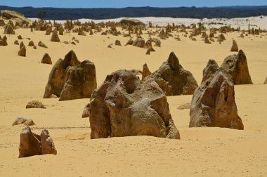 Batı Avustralya 'da Perth yakınlarındaki tepeler çöl. 