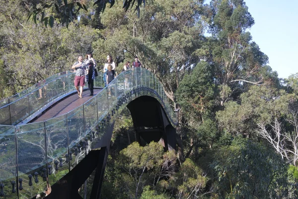 Perth Walkway Glass Arched Bridge Western Australia — Stock Photo, Image