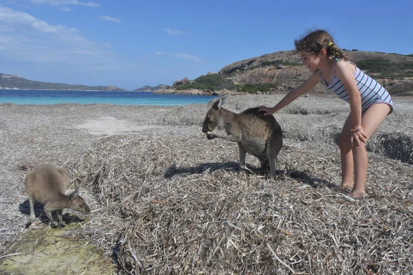 Australian girl playing with Kangaroos in Lucky Bay Western Aust — Stock fotografie