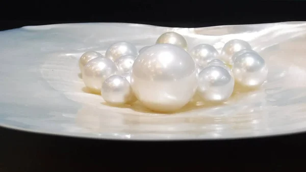 La perla redonda de calidad fina más grande del mundo — Foto de Stock