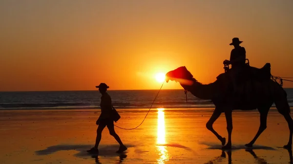 Silhouette eines Touristen im Kamelritt-Konvoi — Stockfoto