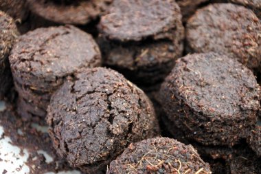 Tohum genişletiliyor Toprak diskleri başlatılıyor. 