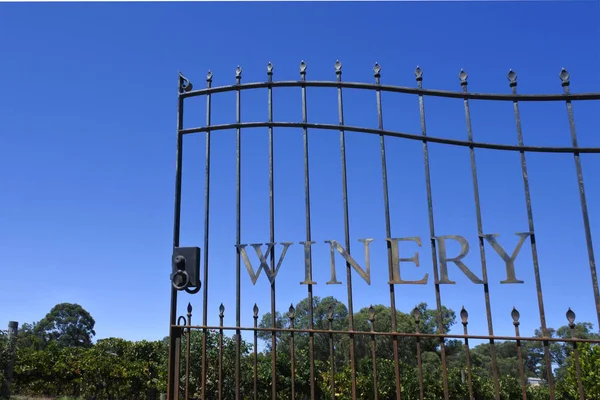 Winery Gate öppnas i en vingård under klarblå himmel — Stockfoto