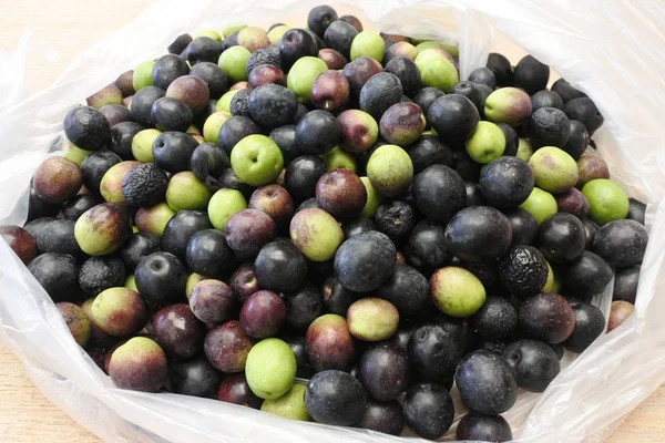 Beaucoup Olives Manzanilla Dans Sac Les Olives Manzanillo Sont Double — Photo