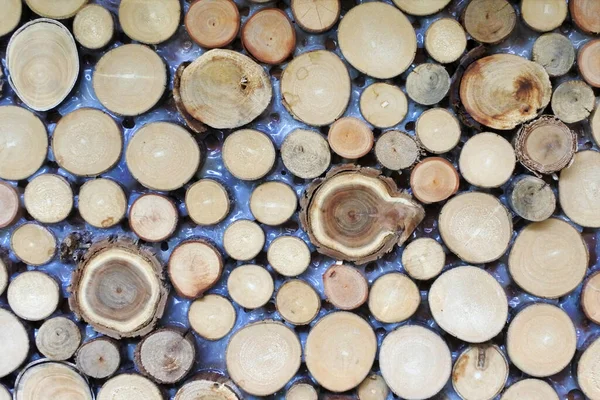Birçok Küçük Doğranmış Ağaç Gövdesi Koleksiyonunun Düz Bir Görünümü Vardı — Stok fotoğraf