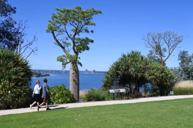 Kings Park ve Botanik Bahçesinde yürüyüş yapan üst düzey Avustralyalı çift. Kings Park, Perth Western, Avustralya 'da önemli bir turistik ilgi odağı..