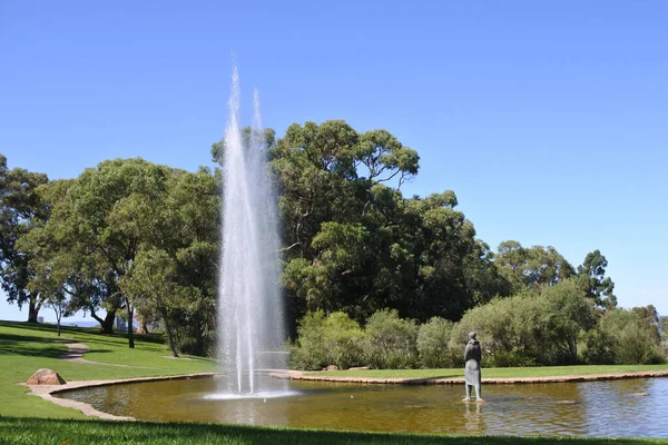 Fontaine Eau Kings Park Jardin Botanique Kings Park Est Une — Photo