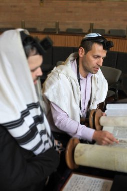 Yahudi erkekler sinagogdaki Tevrat parşömeninden okuyor ve dua ediyorlar. .