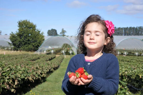 ピックアップ中に新鮮なイチゴを運ぶ若い女の子 本物の人間だ スペースのコピー — ストック写真
