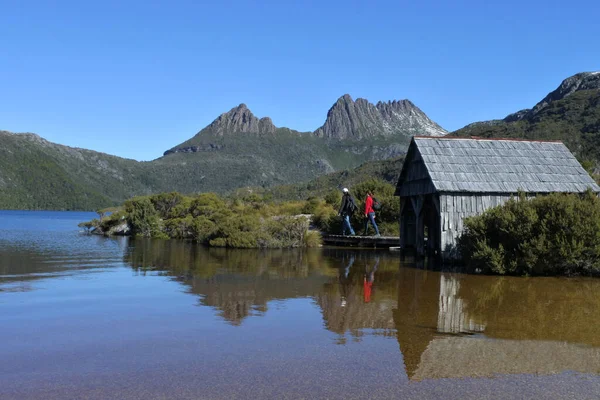 Senderismo Pareja Parque Nacional Cradle Mountain Lake Clair Tasmania Australia —  Fotos de Stock