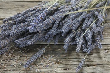 Tazmanya, Avustralya 'da lavanta çiçeği tarımı.