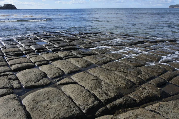 Пейзаж Tessellated Pavement Pirates Bay Полуострове Тасмания Австралия — стоковое фото