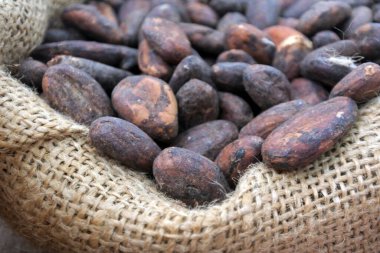 Çuvalda Çiğ Kahve Fasulyesi