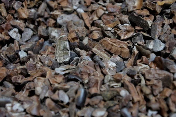 Gros Plan Fèves Cacao Grillées Fond Abstrait Texture — Photo