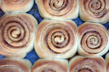 Taze tarçınlı kurabiyelerin düzlüğü..