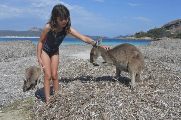 Jong Australisch Meisje Speelt Met Kangoeroes Lucky Bay Cape Grand — Stockfoto