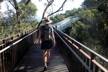Avustralyalı kadın Kings Park 'taki Perth Walkway Cam Kemer Köprüsü ve Perth Batı Avustralya' daki Botanik Bahçeleri 'nde yürüyor..