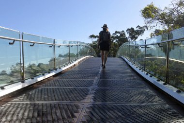 Avustralyalı kadın Kings Park 'taki Perth Walkway Cam Kemer Köprüsü ve Perth Batı Avustralya' daki Botanik Bahçeleri 'nde yürüyor..