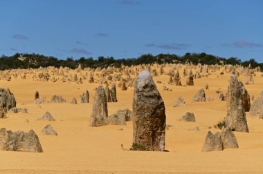 Batı Avustralya 'daki Perth yakınlarındaki tepelerin vahşi manzarası. Çölde binlerce kireçtaşı oluşumu vardır.