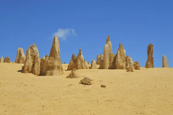 Paesaggio Selvaggio Vista Del Deserto Pinnacoli Vicino Perth Australia Occidentale — Foto Stock