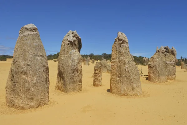 Paisaje Salvaje Vista Del Desierto Pináculos Cerca Perth Australia Occidental —  Fotos de Stock