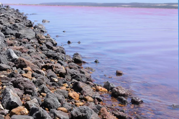 Vue Paysage Lac Rose Hutt Lagoon Port Gregory Australie Occidentale — Photo